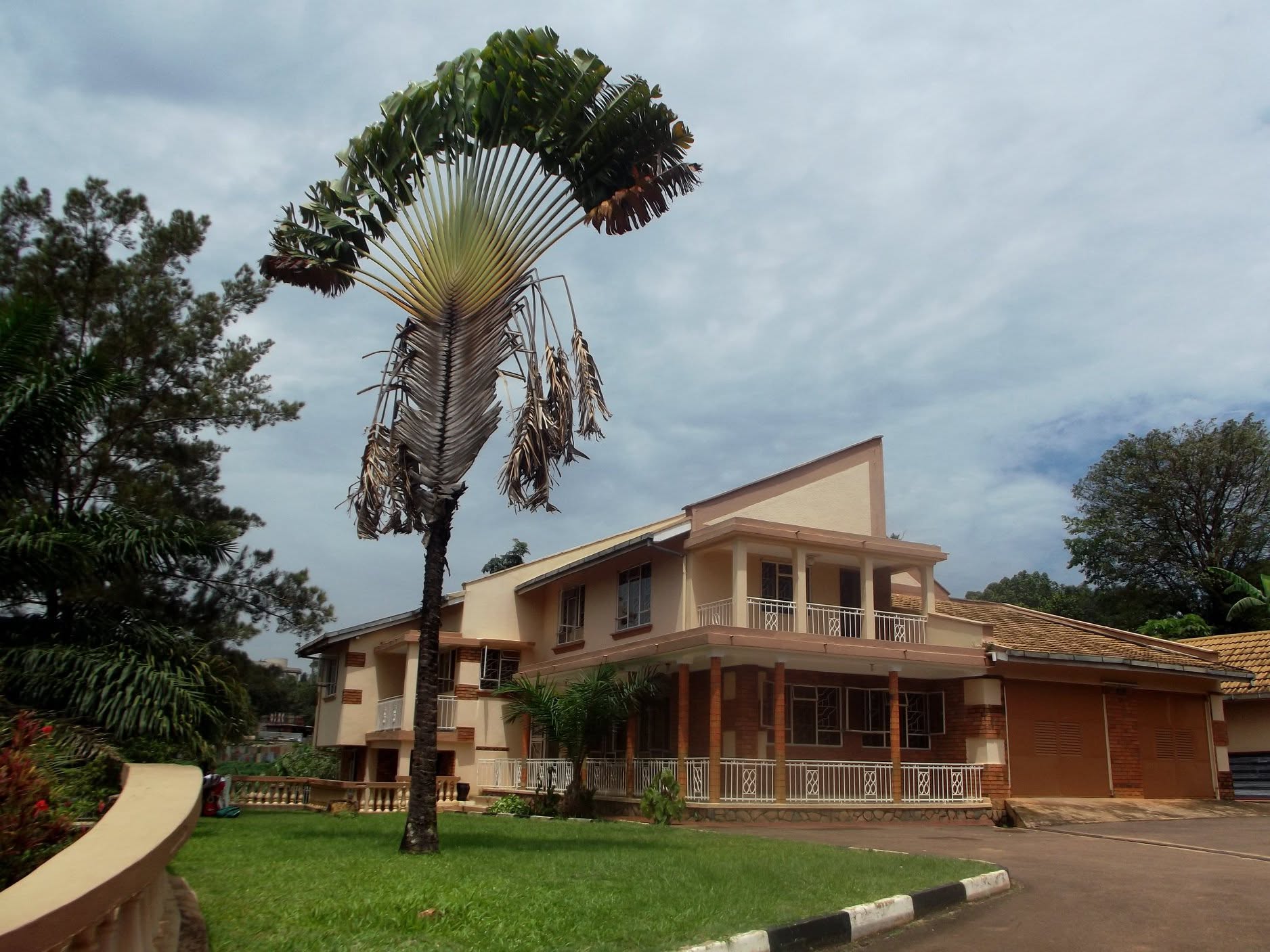 Kampala Music School students learning and performing
